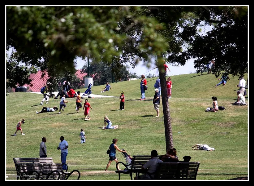Herman Park