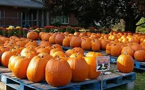 Hermann Farm
