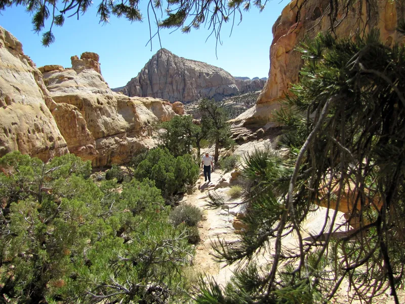 Hickman Bridge Trail