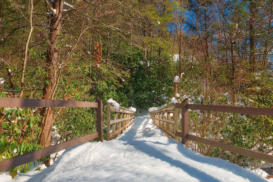 Hickory Run State Park