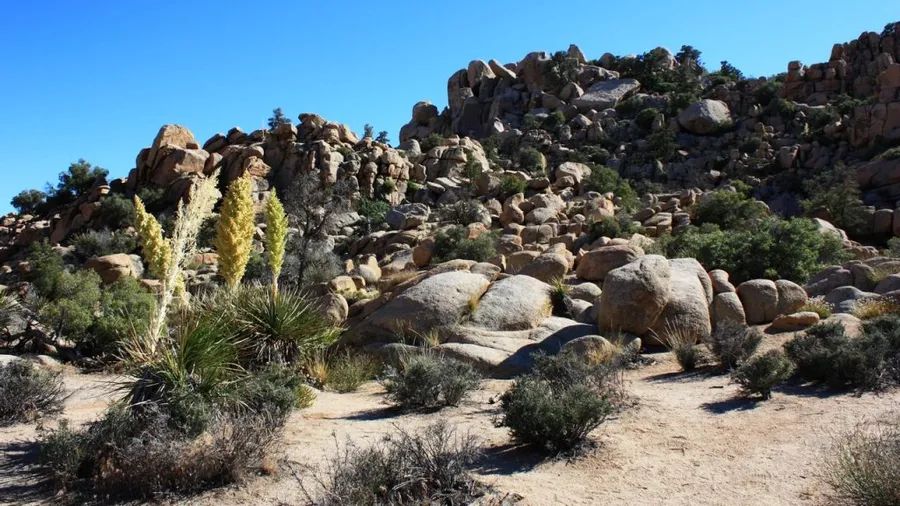 Hidden Valley Trail