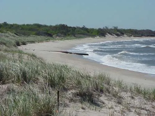 Higbee Beach Wildlife Management Area