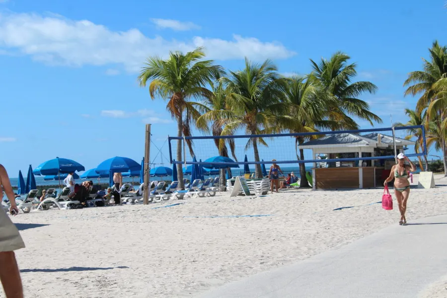 Higgs Beach