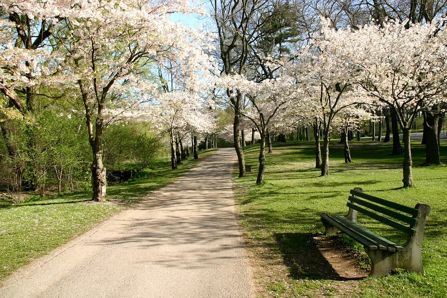 High Park