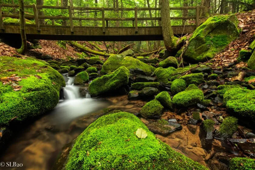 Highlands Nature Center
