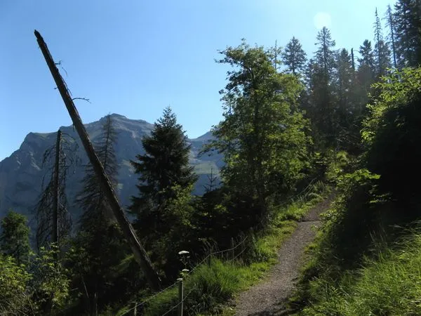 Hike to Sprutzbach Falls