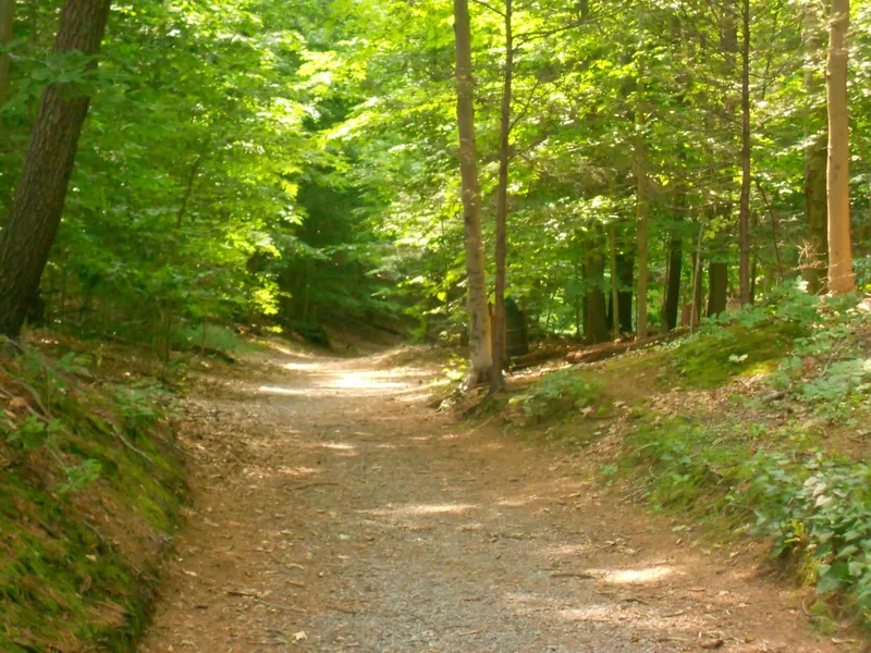 Hiking Trails
