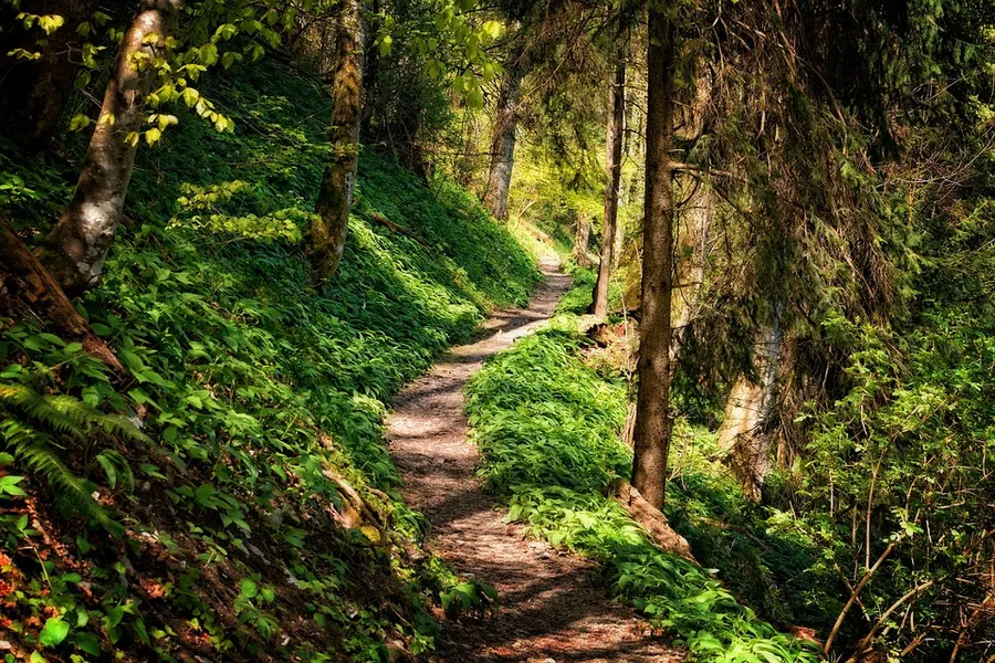 Hiking Trails around Long Bawan