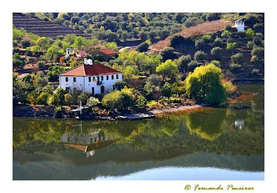 Hiking Trails in the Douro Valley