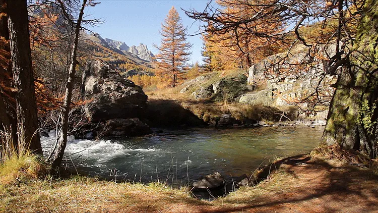 Hiking around Riez