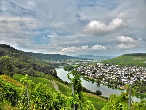 Hiking in the Moselle Valley