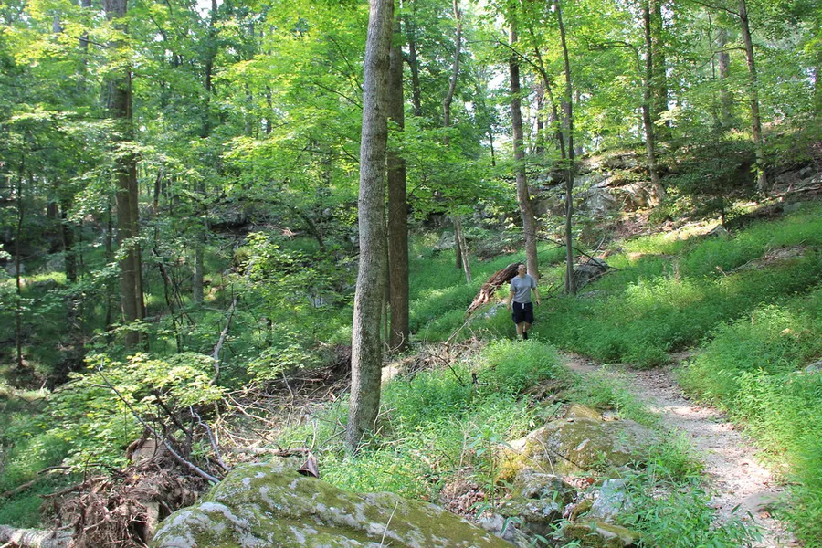 Hiking on Mandø