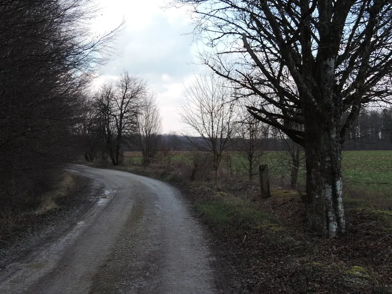 Hiking trails around Colombey-les-Deux-Églises