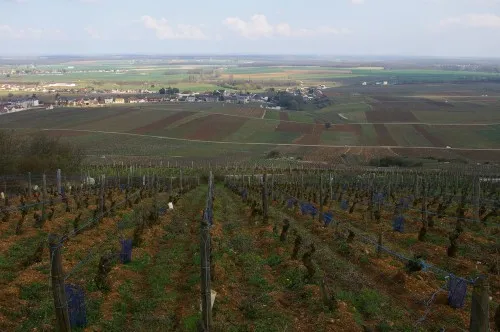 Hiking trails around Nuits-Saint-Georges