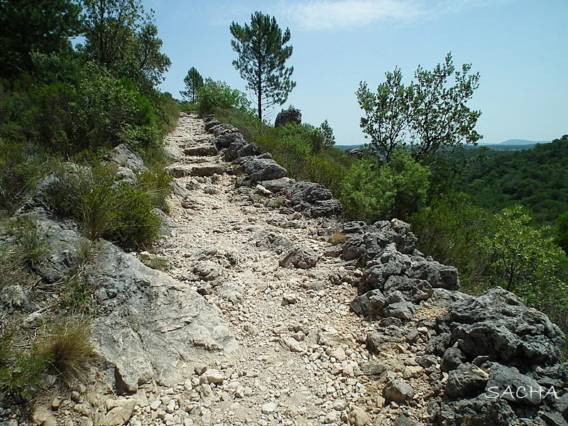 Hiking trails around Saint-Guilhem-le-Désert