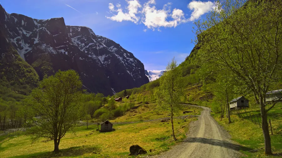 Hiking trails around Vikøyri