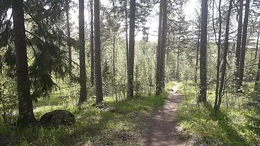 Hiking trails in Riihimäki