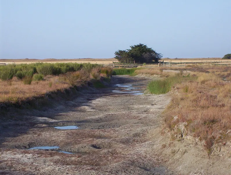 Hindmarsh Nature Reserve
