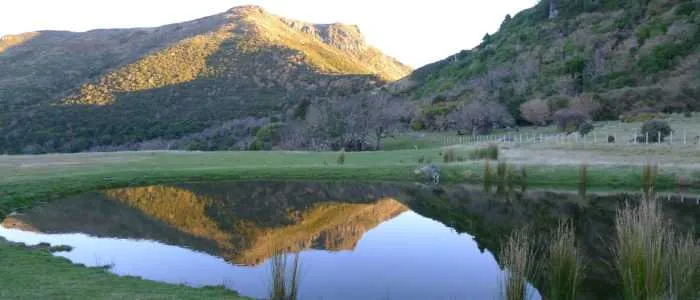Hinewai Reserve