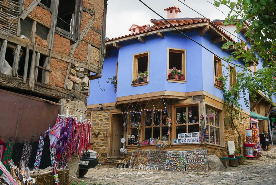 Historical Houses of Cumalıkızık