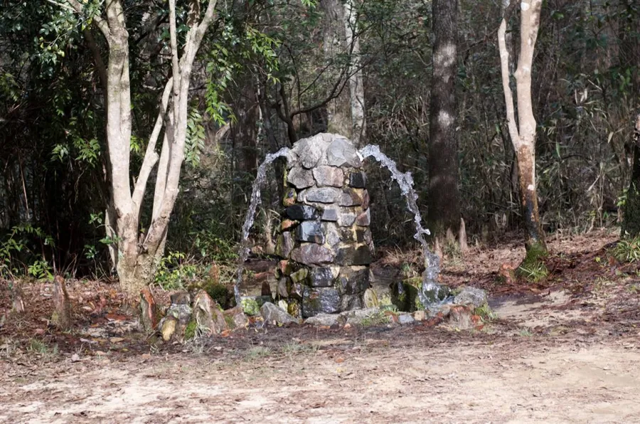 Hitchcock Woods