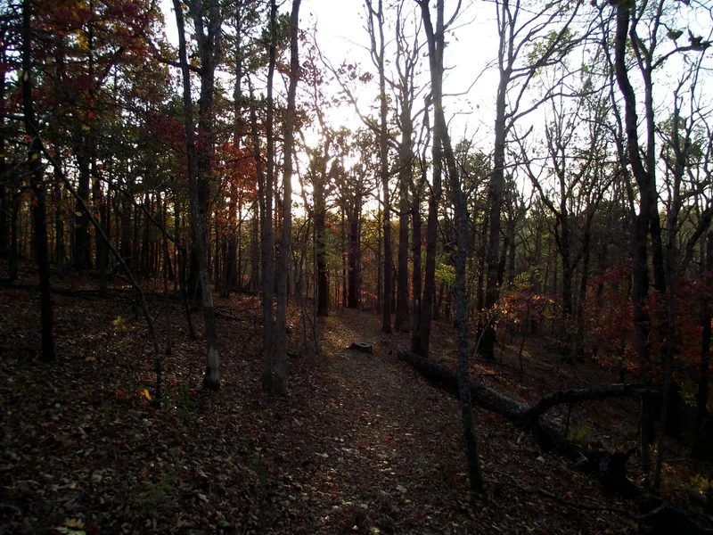 Hobbs State Park-Conservation Area