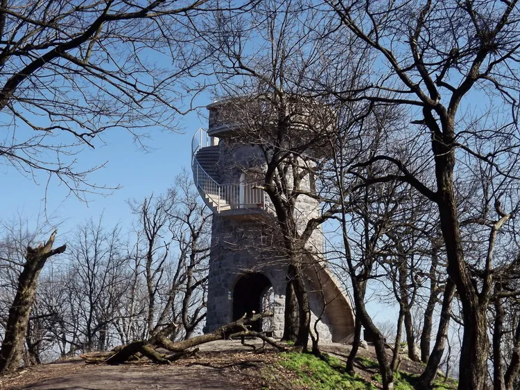 Hochwald Lookout Tower