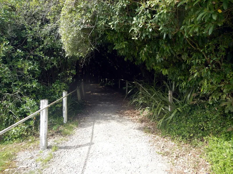 Hokitika Glow Worm Dell