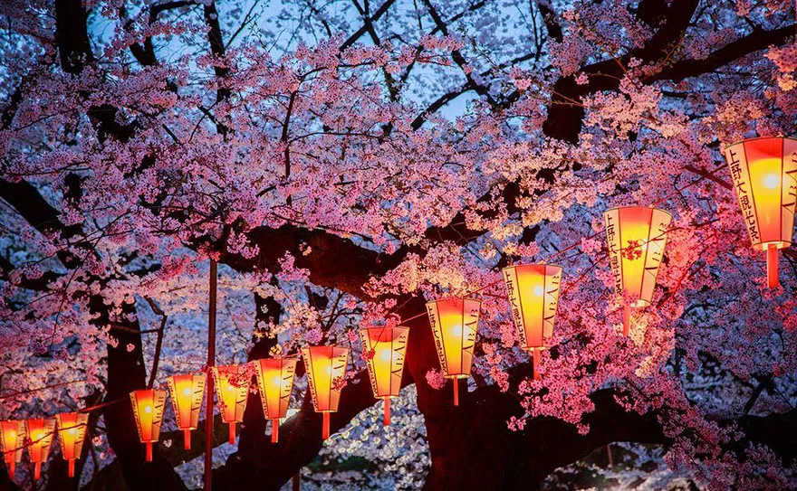 Hokkaido Matsumae Cherry Blossom Festival