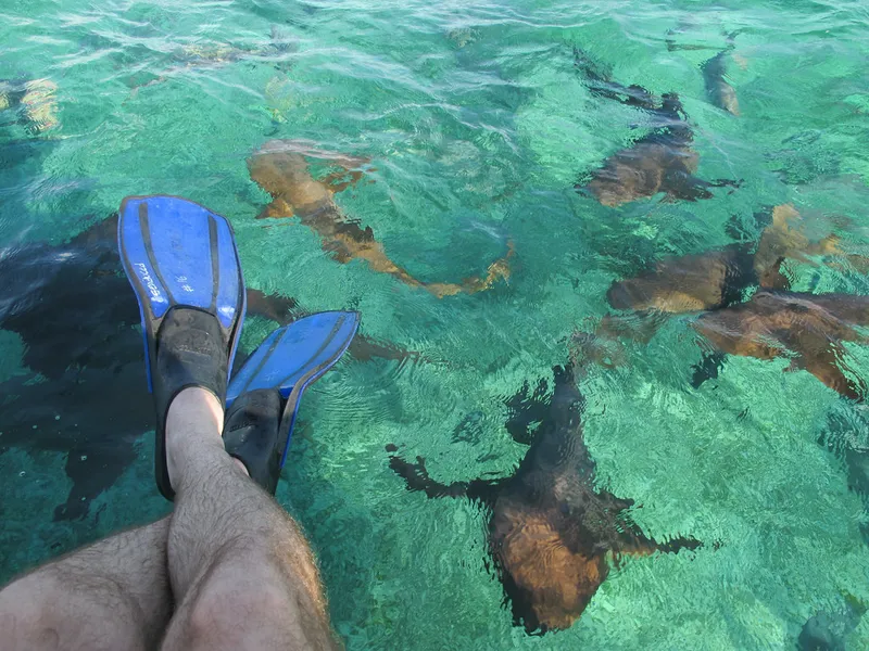 Hol Chan Marine Reserve