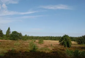 Holm Hede