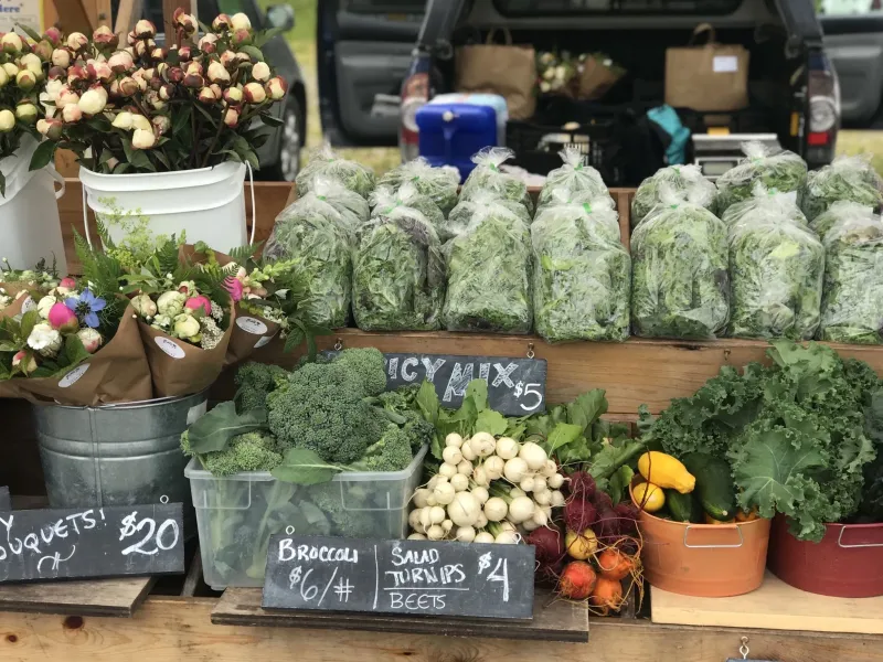Homer Farmers Market