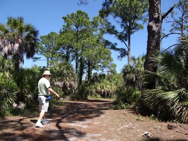Honeymoon Island State Park