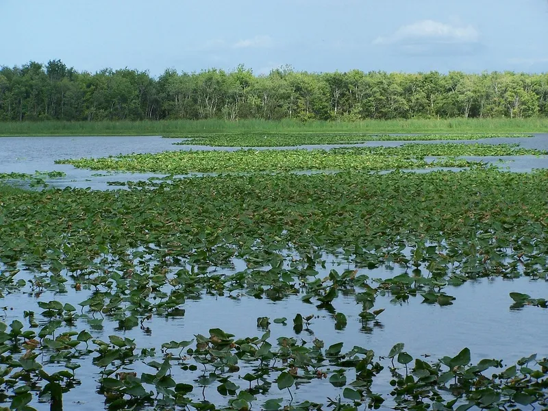 Hontoon Island State Park