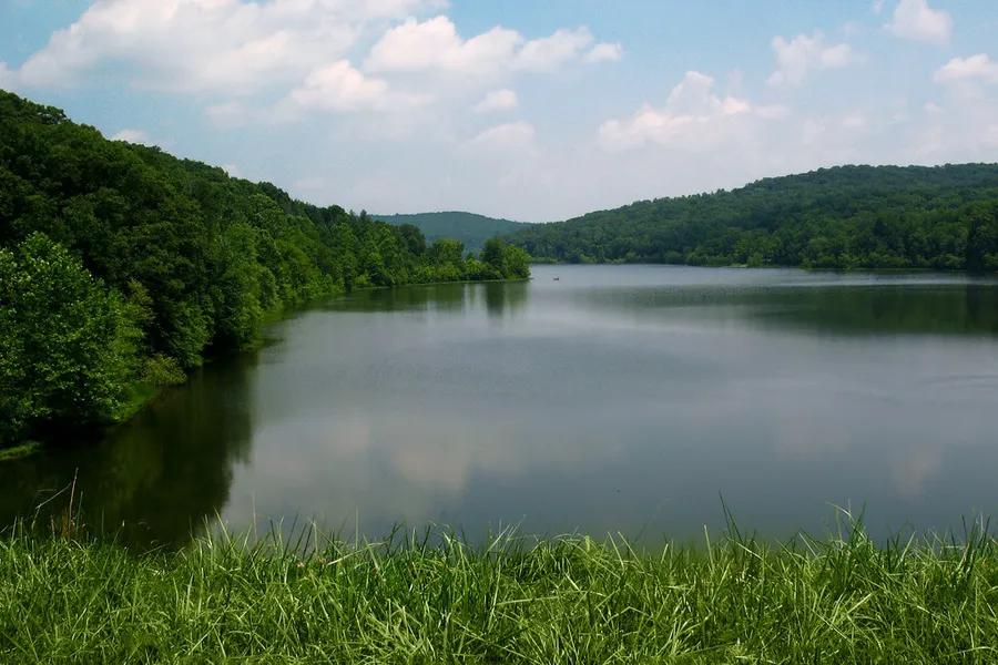 Hoosier National Forest (Near Bloomington)