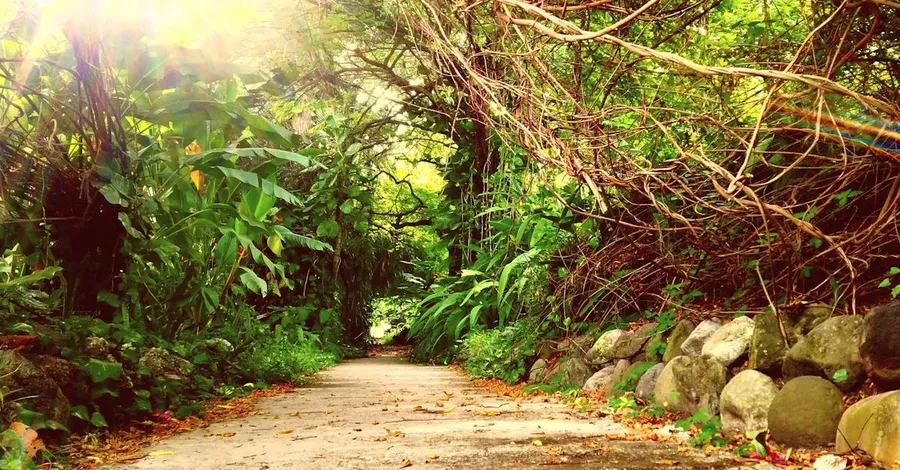 Hope Botanical Gardens