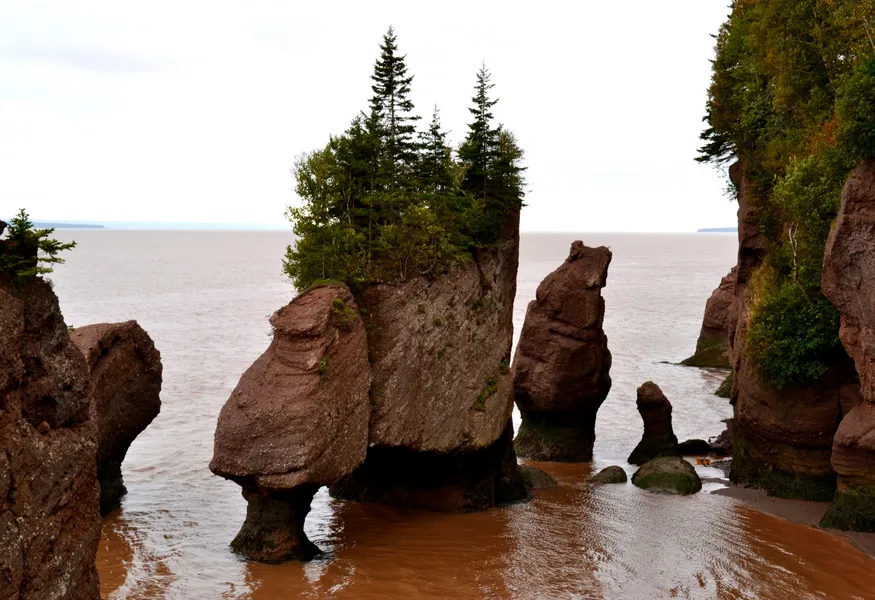 Hopewell Rocks