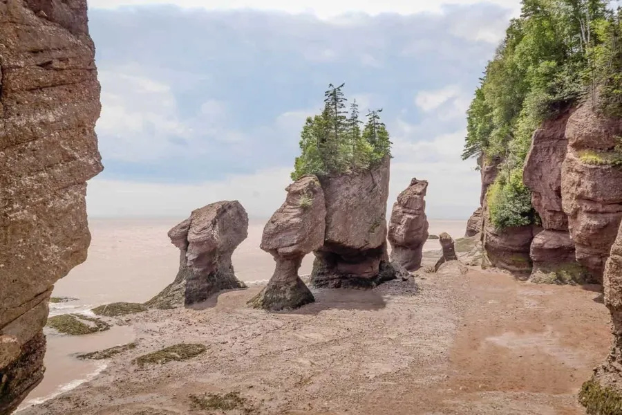 Hopewell Rocks Provincial Park