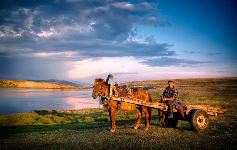Horse Cart Ride
