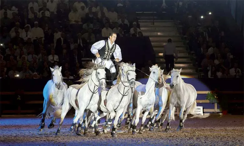 Horse Festival of El Jadida