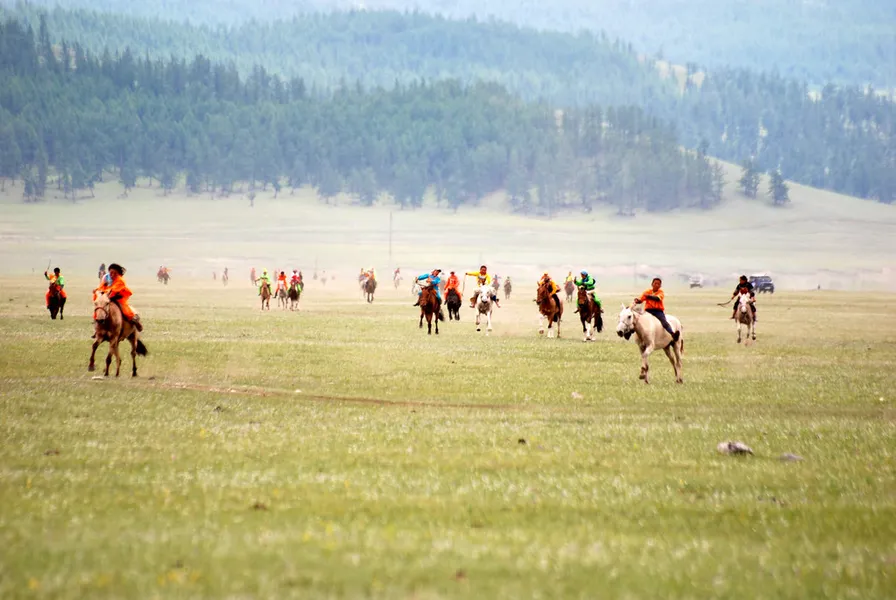 Horseback Riding Tours