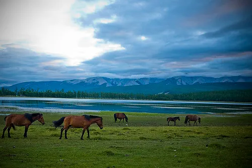 Horseback Tour & Sledding on Lake Khuvsgul