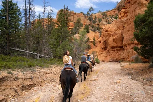 Horseback riding in the park