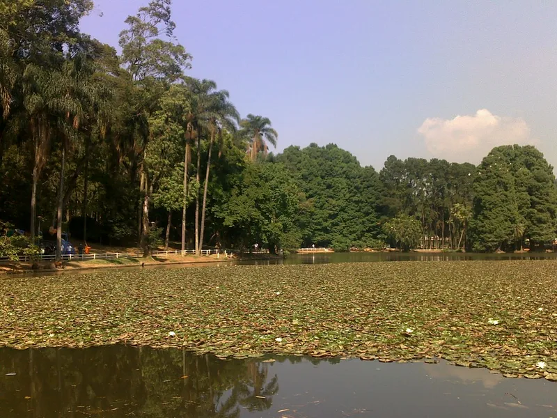 Horto Florestal de Itapira