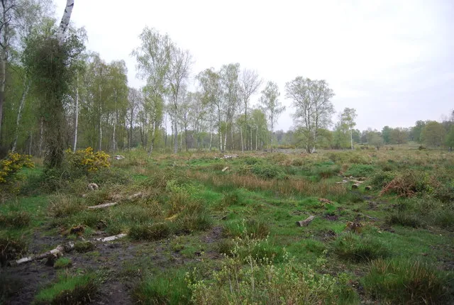 Hothfield Heathlands Nature Reserve