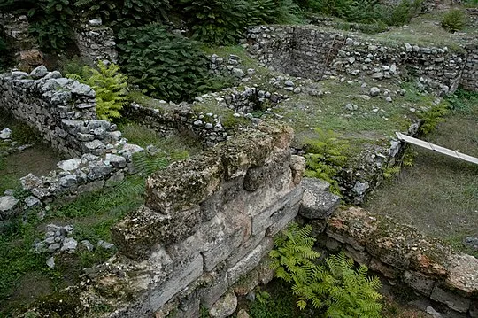 House of Cadmus