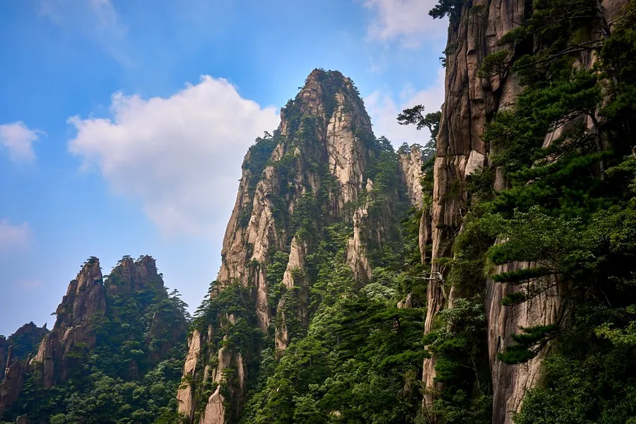 Huangshan Botanical Garden