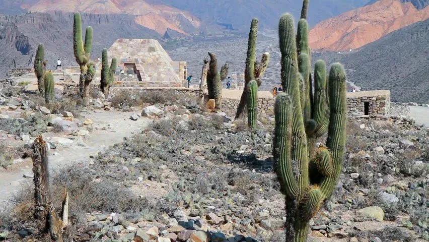 Huerta Organica de Tilcara