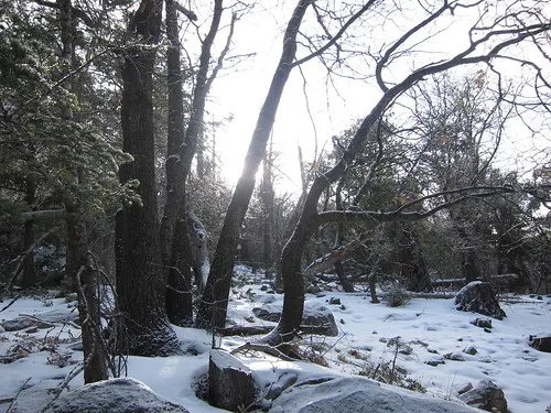 Humber Park