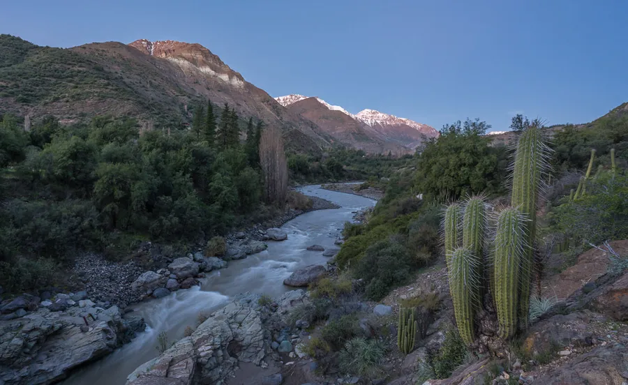 Humedal Río Maipo